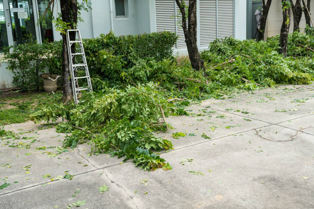 Best Hazardous Tree Removal  in Cedar Bluff, AL